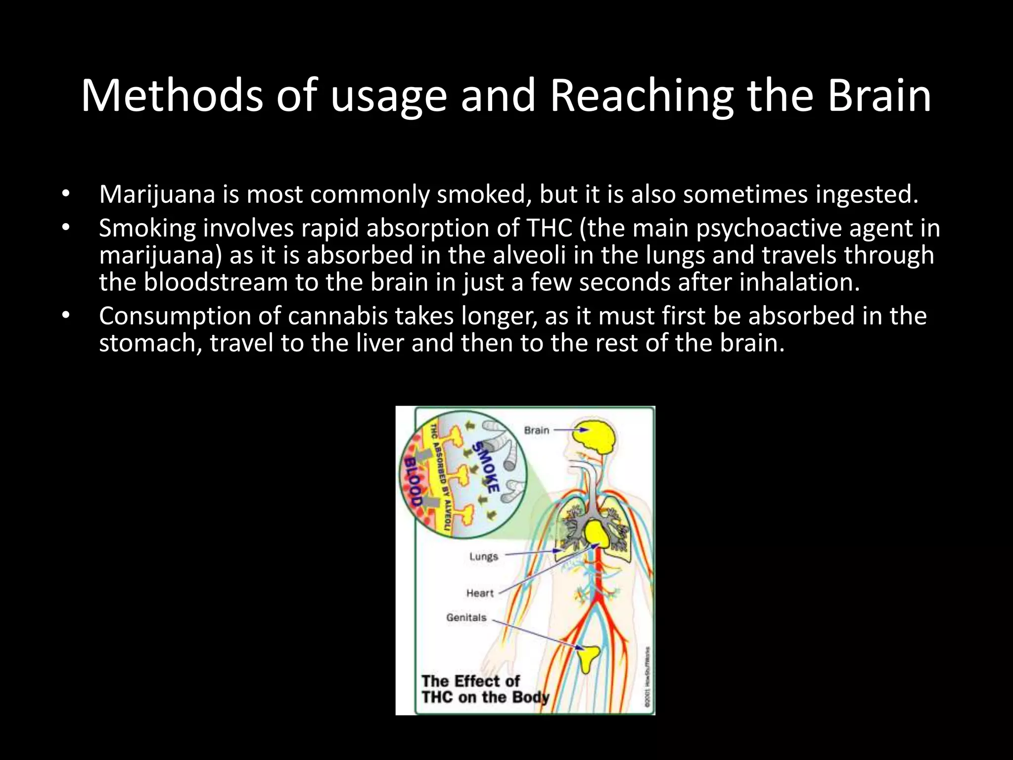 Methods of usage and Reaching the Brain
• Marijuana is most commonly smoked, but it is also sometimes ingested.
• Smoking involves rapid absorption of THC (the main psychoactive agent in
  marijuana) as it is absorbed in the alveoli in the lungs and travels through
  the bloodstream to the brain in just a few seconds after inhalation.
• Consumption of cannabis takes longer, as it must first be absorbed in the
  stomach, travel to the liver and then to the rest of the brain.




                                  Source: Howstufforks.com
 