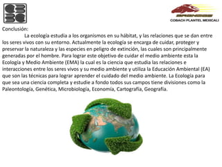 Conclusión:
           La ecología estudia a los organismos en su hábitat, y las relaciones que se dan entre
los seres vivos con su entorno. Actualmente la ecología se encarga de cuidar, proteger y
preservar la naturaleza y las especies en peligro de extinción, las cuales son principalmente
generadas por el hombre. Para lograr este objetivo de cuidar el medio ambiente esta la
Ecología y Medio Ambiente (EMA) la cual es la ciencia que estudia las relaciones e
interacciones entre los seres vivos y su medio ambiente y utiliza la Educación Ambiental (EA)
que son las técnicas para lograr aprender el cuidado del medio ambiente. La Ecología para
que sea una ciencia completa y estudie a fondo todos sus campos tiene divisiones como la
Paleontología, Genética, Microbiología, Economía, Cartografía, Geografía.
 