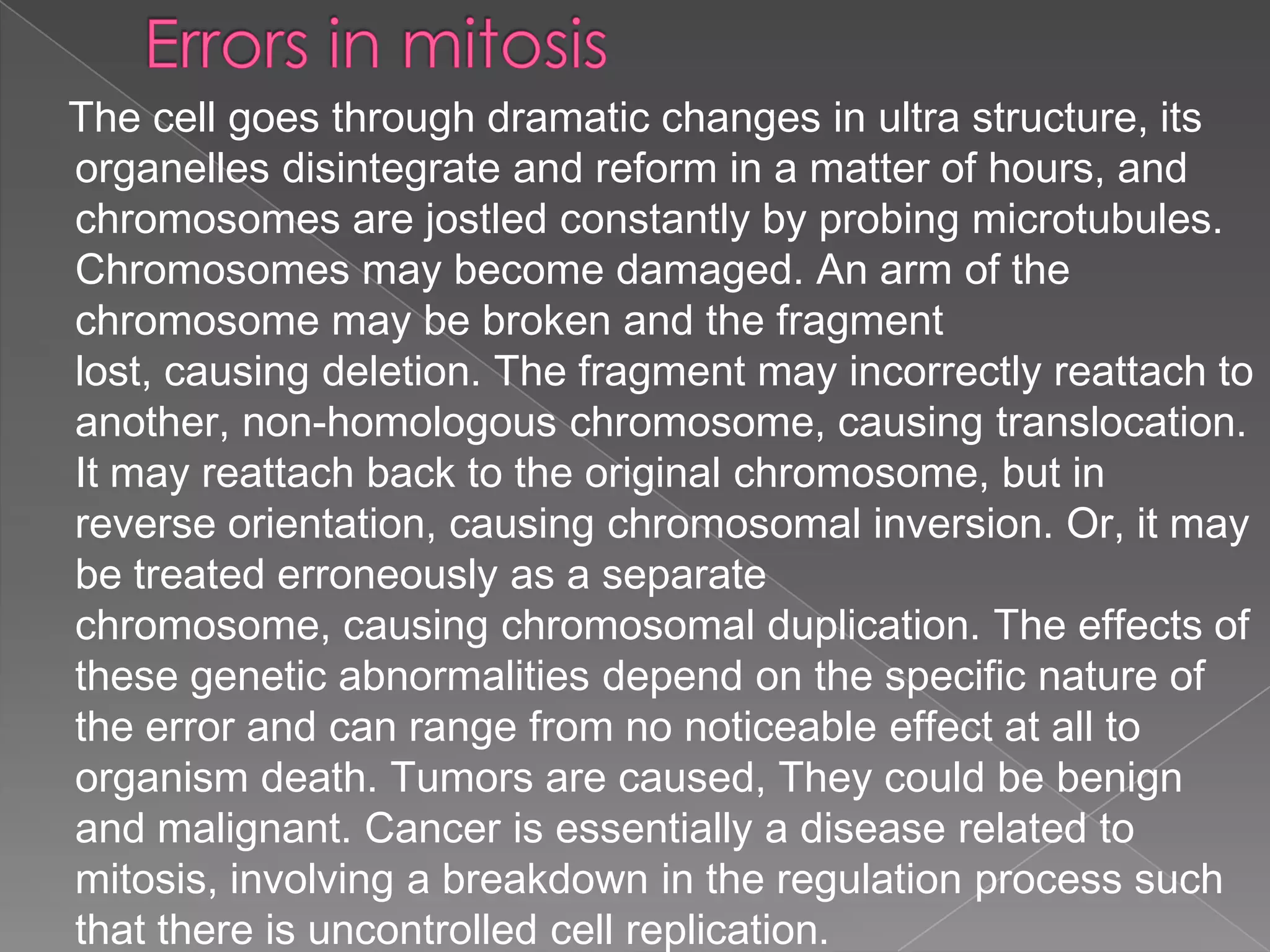 The cell goes through dramatic changes in ultra structure, its
organelles disintegrate and reform in a matter of hours, and
chromosomes are jostled constantly by probing microtubules.
Chromosomes may become damaged. An arm of the
chromosome may be broken and the fragment
lost, causing deletion. The fragment may incorrectly reattach to
another, non-homologous chromosome, causing translocation.
It may reattach back to the original chromosome, but in
reverse orientation, causing chromosomal inversion. Or, it may
be treated erroneously as a separate
chromosome, causing chromosomal duplication. The effects of
these genetic abnormalities depend on the specific nature of
the error and can range from no noticeable effect at all to
organism death. Tumors are caused, They could be benign
and malignant. Cancer is essentially a disease related to
mitosis, involving a breakdown in the regulation process such
that there is uncontrolled cell replication.
 