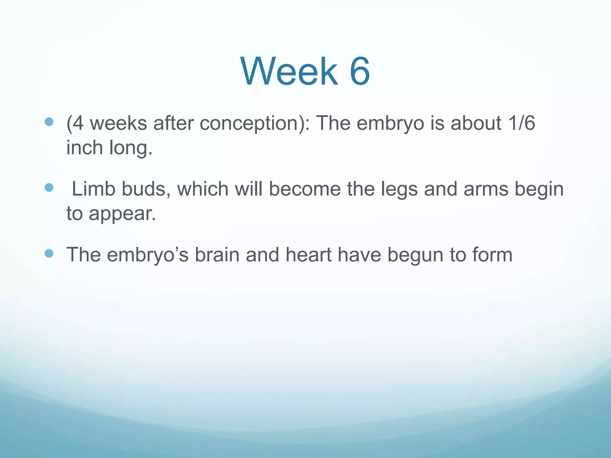 Week 6
 (4 weeks after conception): The embryo is about 1/6
  inch long.

 Limb buds, which will become the legs and arms begin
  to appear.

 The embryo’s brain and heart have begun to form
 