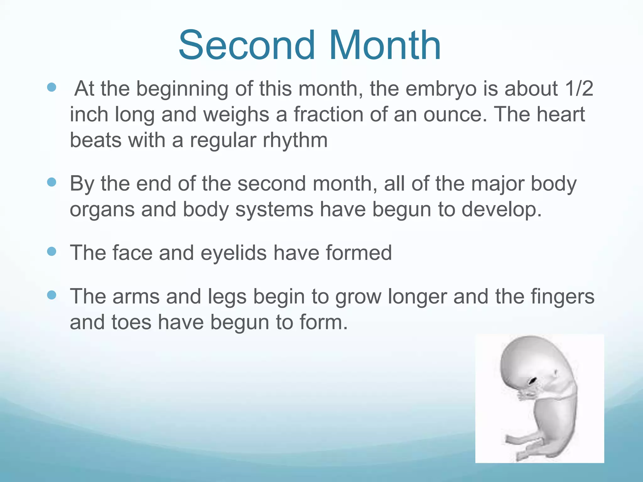 Second Month
 At the beginning of this month, the embryo is about 1/2
  inch long and weighs a fraction of an ounce. The heart
  beats with a regular rhythm

 By the end of the second month, all of the major body
  organs and body systems have begun to develop.

 The face and eyelids have formed
 The arms and legs begin to grow longer and the fingers
  and toes have begun to form.
 