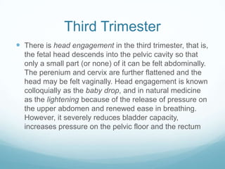 Third Trimester
 There is head engagement in the third trimester, that is,
  the fetal head descends into the pelvic cavity so that
  only a small part (or none) of it can be felt abdominally.
  The perenium and cervix are further flattened and the
  head may be felt vaginally. Head engagement is known
  colloquially as the baby drop, and in natural medicine
  as the lightening because of the release of pressure on
  the upper abdomen and renewed ease in breathing.
  However, it severely reduces bladder capacity,
  increases pressure on the pelvic floor and the rectum
 