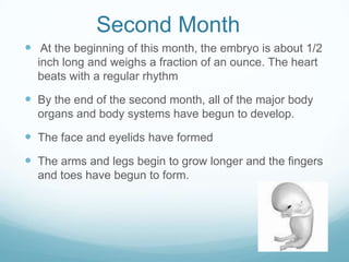 Second Month
 At the beginning of this month, the embryo is about 1/2
  inch long and weighs a fraction of an ounce. The heart
  beats with a regular rhythm

 By the end of the second month, all of the major body
  organs and body systems have begun to develop.

 The face and eyelids have formed
 The arms and legs begin to grow longer and the fingers
  and toes have begun to form.
 
