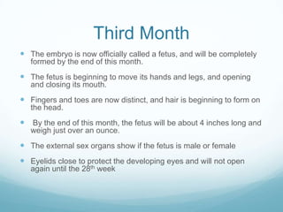 Third Month
 The embryo is now officially called a fetus, and will be completely
   formed by the end of this month.
 The fetus is beginning to move its hands and legs, and opening
   and closing its mouth.
 Fingers and toes are now distinct, and hair is beginning to form on
   the head.
 By the end of this month, the fetus will be about 4 inches long and
   weigh just over an ounce.
 The external sex organs show if the fetus is male or female
 Eyelids close to protect the developing eyes and will not open
   again until the 28th week
 
