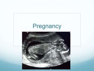 Pregnancy
 