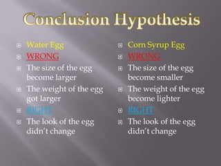    Water Egg                  Corn Syrup Egg
   WRONG                      WRONG
   The size of the egg        The size of the egg
    become larger               become smaller
   The weight of the egg      The weight of the egg
    got larger                  become lighter
   RIGHT                      RIGHT
   The look of the egg        The look of the egg
    didn’t change               didn’t change
 
