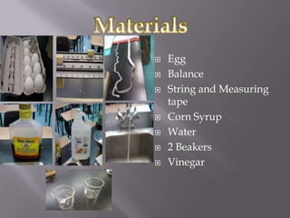    Egg
   Balance
   String and Measuring
    tape
   Corn Syrup
   Water
   2 Beakers
   Vinegar
 
