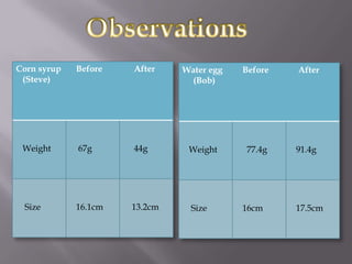 Corn syrup   Before   After    Water egg   Before   After
 (Steve)                        (Bob)




 Weight      67g      44g       Weight      77.4g   91.4g




 Size        16.1cm   13.2cm    Size       16cm     17.5cm
 