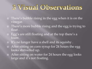    There’s bubble rising in the egg when it is on the
    vinegar.
   There’s more bubble rising and the egg is trying to
    float .
   Egg’s are still floating and at the top there’s a
    foam .
   It’s no longer have a shell and its squishy .
   After sitting on corn syrup for 24 hours the egg
    looks shrivelled up.
   After sitting on water for 24 hours the egg looks
    large and it’s not floating.
 