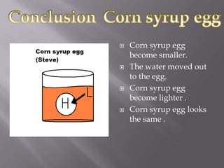    Corn syrup egg
    become smaller.
   The water moved out
    to the egg.
   Corn syrup egg
    become lighter .
   Corn syrup egg looks
    the same .
 