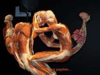 Tara gawa tayo ice
         Wag kang gagalaw....
scramble…..
 