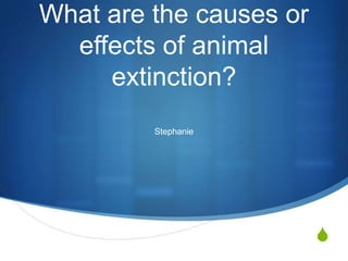 What are the causes or
  effects of animal
     extinction?
         Stephanie




                         S
 