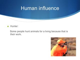 Human influence


S Hunter:

  Some people hunt animals for a living because that is
  their work.
 