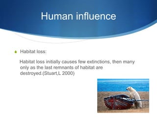 Human influence


S Habitat loss:

  Habitat loss initially causes few extinctions, then many
  only as the last remnants of habitat are
  destroyed.(Stuart,L 2000)
 