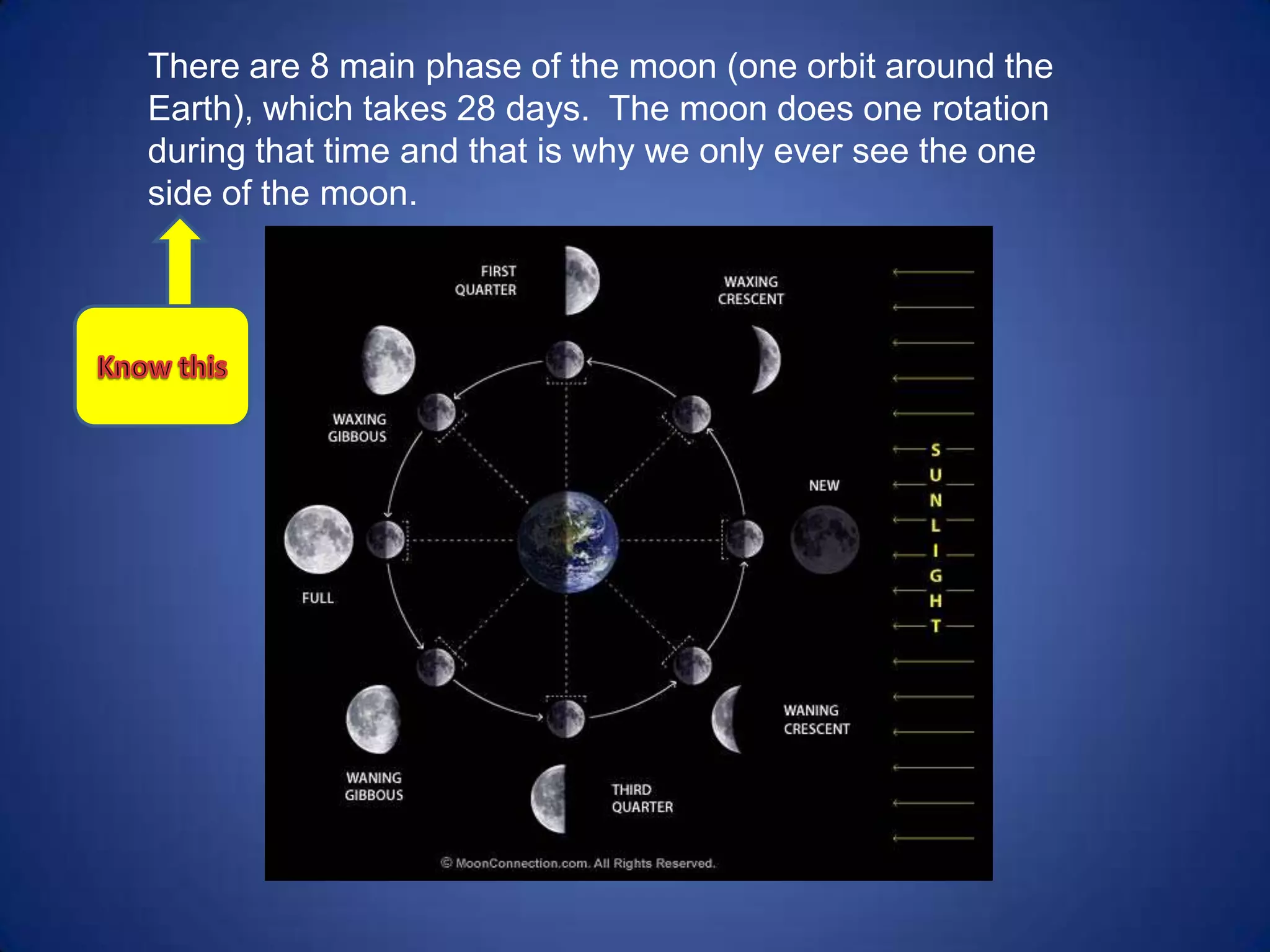 There are 8 main phase of the moon (one orbit around the
Earth), which takes 28 days. The moon does one rotation
during that time and that is why we only ever see the one
side of the moon.
 