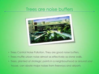 Importance of Trees | PPTX