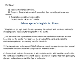 BIO FERTILIZER | PPTX