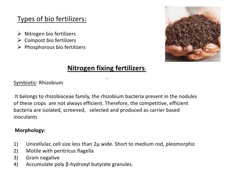 BIO FERTILIZER