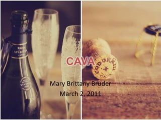CAVA
Mary Brittany Bruder
  March 2, 2011
 