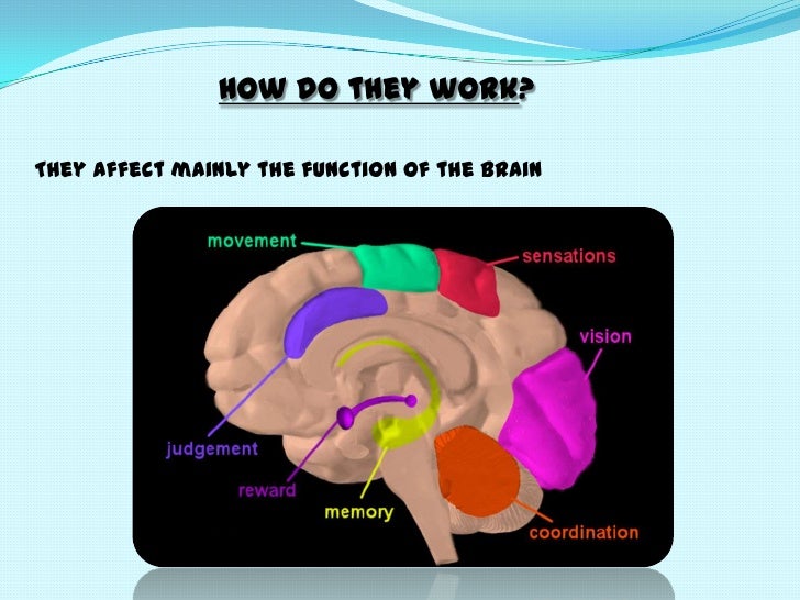 drug effects on the brain essay | best priceπ₯ | free shipping, quality worldwide delivery βββ effects of drugs on the brain essay βββ,online pharmacy, guaranteed shipping 24/7. drug effects on the brain essay | best priceπ₯ | free shipping, quality worldwide delivery βββ effects of drugs on the brain essay βββ,online pharmacy, guaranteed shipping 24/7.