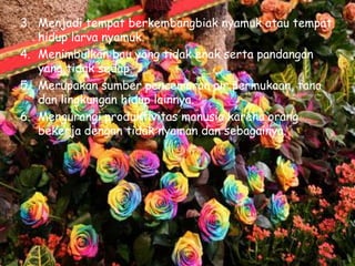 3. Menjadi tempat berkembangbiak nyamuk atau tempat
   hidup larva nyamuk.
4. Menimbulkan bau yang tidak enak serta pandangan
   yang tidak sedap.
5. Merupakan sumber pencemaran air permukaan, tana
   dan lingkungan hidup lainnya.
6. Mengurangi produktivitas manusia karena orang
   bekerja dengan tidak nyaman dan sebagainya.
 