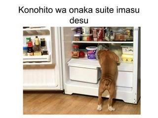 Konohito wa onaka suite imasu
            desu
 