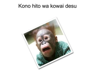 Kono hito wa kowai desu
 