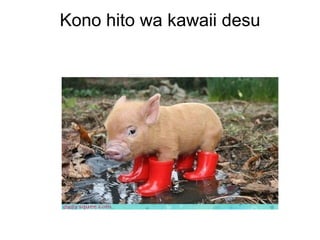 Kono hito wa kawaii desu
 