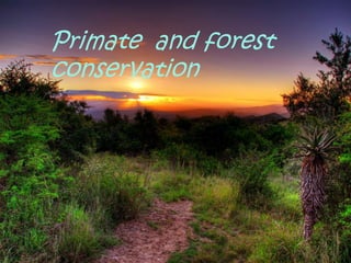 Primate and forest
conservation
 