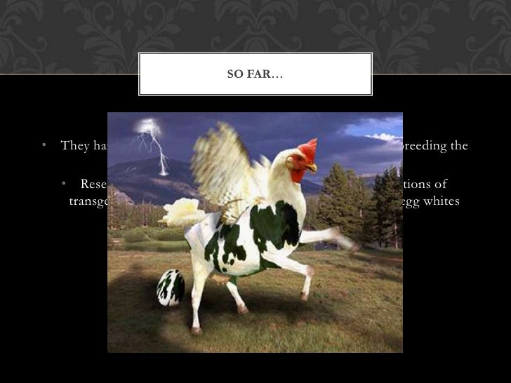 Drug Producing Chicken