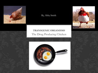 By, Abby Smith




TRANSGENIC ORGANISMS
The Drug Producing Chicken
 
