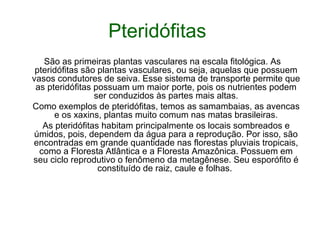 Pteridófitas
   São as primeiras plantas vasculares na escala fitológica. As
 pteridófitas são plantas vasculares, ou seja, aquelas que possuem
vasos condutores de seiva. Esse sistema de transporte permite que
 as pteridófitas possuam um maior porte, pois os nutrientes podem
                 ser conduzidos às partes mais altas.
Como exemplos de pteridófitas, temos as samambaias, as avencas
      e os xaxins, plantas muito comum nas matas brasileiras.
   As pteridófitas habitam principalmente os locais sombreados e
 úmidos, pois, dependem da água para a reprodução. Por isso, são
encontradas em grande quantidade nas florestas pluviais tropicais,
  como a Floresta Atlântica e a Floresta Amazônica. Possuem em
seu ciclo reprodutivo o fenômeno da metagênese. Seu esporófito é
                  constituído de raiz, caule e folhas.
 