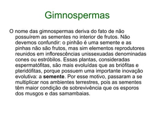 Gimnospermas
O nome das gimnospermas deriva do fato de não
  possuírem as sementes no interior de frutos. Não
  devemos confundir: o pinhão é uma semente e as
  pinhas não são frutos, mas sim elementos reprodutores
  reunidos em inflorescências unissexuadas denominadas
  cones ou estróbilos. Essas plantas, consideradas
  espermatófitas, são mais evoluídas que as briófitas e
  pteridófitas, porque possuem uma importante inovação
  evolutiva: a semente. Por esse motivo, passaram a se
  multiplicar nos ambientes terrestres, pois as sementes
  têm maior condição de sobrevivência que os esporos
  dos musgos e das samambaias.
 