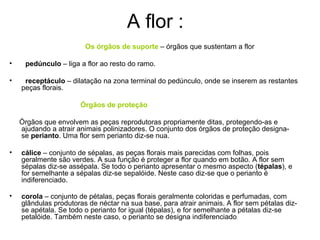 A flor :
                        Os órgãos de suporte – órgãos que sustentam a flor

•    pedúnculo – liga a flor ao resto do ramo.

•    receptáculo – dilatação na zona terminal do pedúnculo, onde se inserem as restantes
    peças florais.

                      Órgãos de proteção

    Órgãos que envolvem as peças reprodutoras propriamente ditas, protegendo-as e
    ajudando a atrair animais polinizadores. O conjunto dos órgãos de proteção designa-
    se perianto. Uma flor sem perianto diz-se nua.

•   cálice – conjunto de sépalas, as peças florais mais parecidas com folhas, pois
    geralmente são verdes. A sua função é proteger a flor quando em botão. A flor sem
    sépalas diz-se assépala. Se todo o perianto apresentar o mesmo aspecto (tépalas), e
    for semelhante a sépalas diz-se sepalóide. Neste caso diz-se que o perianto é
    indiferenciado.

•   corola – conjunto de pétalas, peças florais geralmente coloridas e perfumadas, com
    glândulas produtoras de néctar na sua base, para atrair animais. A flor sem pétalas diz-
    se apétala. Se todo o perianto for igual (tépalas), e for semelhante a pétalas diz-se
    petalóide. Também neste caso, o perianto se designa indiferenciado.
 