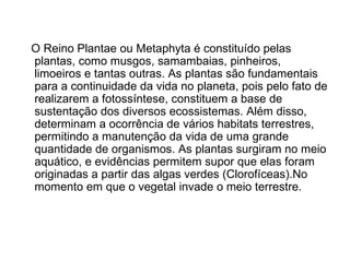 O Reino Plantae ou Metaphyta é constituído pelas
plantas, como musgos, samambaias, pinheiros,
limoeiros e tantas outras. As plantas são fundamentais
para a continuidade da vida no planeta, pois pelo fato de
realizarem a fotossíntese, constituem a base de
sustentação dos diversos ecossistemas. Além disso,
determinam a ocorrência de vários habitats terrestres,
permitindo a manutenção da vida de uma grande
quantidade de organismos. As plantas surgiram no meio
aquático, e evidências permitem supor que elas foram
originadas a partir das algas verdes (Clorofíceas).No
momento em que o vegetal invade o meio terrestre.
 