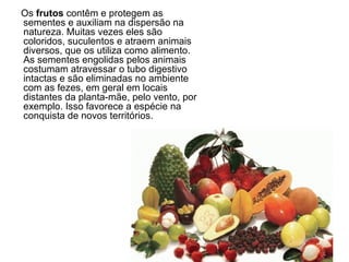 Os frutos contêm e protegem as
sementes e auxiliam na dispersão na
natureza. Muitas vezes eles são
coloridos, suculentos e atraem animais
diversos, que os utiliza como alimento.
As sementes engolidas pelos animais
costumam atravessar o tubo digestivo
intactas e são eliminadas no ambiente
com as fezes, em geral em locais
distantes da planta-mãe, pelo vento, por
exemplo. Isso favorece a espécie na
conquista de novos territórios.
 