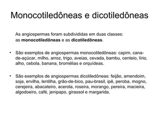 Monocotiledôneas e dicotiledôneas
   As angiospermas foram subdivididas em duas classes:
   as monocotiledôneas e as dicotiledôneas.

• São exemplos de angiospermas monocotiledôneas: capim, cana-
  de-açúcar, milho, arroz, trigo, aveias, cevada, bambu, centeio, lírio,
  alho, cebola, banana, bromélias e orquídeas.

• São exemplos de angiospermas dicotiledôneas: feijão, amendoim,
  soja, ervilha, lentilha, grão-de-bico, pau-brasil, ipê, peroba, mogno,
  cerejeira, abacateiro, acerola, roseira, morango, pereira, macieira,
  algodoeiro, café, jenipapo, girassol e margarida.
 