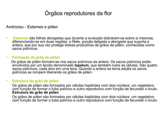 Órgãos reprodutores da flor

Androceu - Estames e pólen

•    Estames são folhas alongadas que durante a evolução dobraram-se sobre si mesmas,
    diferenciando-se em duas regiões: o filete, porção delgada e alongada que suporta a
    antera, que por sua vez protege bolsas produtoras de grãos de pólen, conhecidas como
    sacos polínicos.

•   Formação do grão de pólen
    Os grãos de pólen formam-se nos sacos polínicos da antera. Os sacos polínicos estão
    envolvidos por um tecido denominado tapetum, que também nutre as células. São quatro
    sacos polínicos, cada dois em uma teca. Quando a antera se torna adulta os sacos
    polínicos se rompem liberando os grãos de pólen.

•   Estrutura do grão de pólen
    Os grãos de pólen são formados por células haplóides com dois núcleos: um vegetativo
    com função de formar o tubo polínico e outro reprodutivo com função de fecundar o óvulo.
    Estrutura do grão de pólen
    Os grãos de pólen são formados por células haplóides com dois núcleos: um vegetativo
    com função de formar o tubo polínico e outro reprodutivo com função de fecundar o óvulo.
 