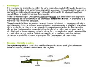 •   Polinização
    É o processo de liberação do pólen da parte masculina onde foi formado, transporte
    e deposição sobre uma superfície estigmática receptora. Em condições favoráveis e
    compatíveis este pólen irá germinar, iniciando a formação do tubo polínico (fase
    gametofítica) e posteriormente a fecundação.
    Pode ser realizada por um agente abiótico ou biótico que associados aos aspectos
    morfológicos da flor determinam as chamadas síndromes florais. A anemofilia e a
    hidrofilia são síndromes abióticas.
    Na polinização biótica, as plantas desenvolveram estruturas ou elementos atrativos
    aos diferentes tipos de animais, que estimulam a alimentação, a atividade sexual ou
    ainda a criação de ninhos onde novos indivíduos de desenvolverão. Dentre estes
    elementos, podemos citar, cores (atrativo visual), odor, pólen, néctar, óleo, resina,
    etc. Os insetos desenvolveram grande interação com as plantas, sendo a entomifilia
    a principal síndrome biótica. Os animais vertebrados também participam deste
    processo, a ornitofilia (aves) e a quiropterofilia (morcegos), são exemplos.


•   Gineceu - Carpelo e ovário
    O carpelo ou pistílo é uma folha modificada que durante a evolução dobrou-se
    sobre si mesma, diferenciando-se em três regiões:
 