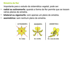 Simetria da flor
    Importante para o estudo da sistemática vegetal, pode ser:
•   radial ou actinomorfa: quando a forma da flor permite que se tracem
    vários planos de simetria.
•   bilateral ou zigomorfa: com apenas um plano de simetria.
•   assimétrica: sem nenhum plano de simetria.
 