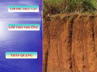 LỚP PHỦ THỰC VẬT



                    Mỏ Bauxit – Bảo Lộc
LỚP THỔ NHƢỠNG     •Thành phần khoáng trung bình
                   trong quặng : Oxit nhôm
                   (38%), Oxit sắt (22-25%), Oxit
                   silic (8%).
                   •Sản lượng 100.000 tấn quặng
                   tinh, năng suất khai thác khá
                   cao 40%
THÂN QUẶNG
 