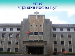 MT 09
VIỆN SINH HỌC ĐÀ LẠT
 