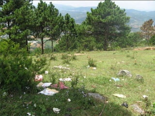 VẤN ĐỀ MÔI TRUỜNG
 