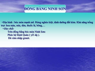 ĐỒNG BẰNG NINH SƠN


 +Địa hình : bóc mòn mạnh mẽ. Rừng nghèo kiệt, dinh dưỡng đất kém. Khả năng trồng
trọt: hoa màu, mía, dứa, thuốc lá, bông,…
  +Địa chất:
       Trên đồng bằng bóc mòn Ninh Sơn:
       Phức hệ Định Quán ( γJ3 đq ).
        Đá xâm nhập granit.
 