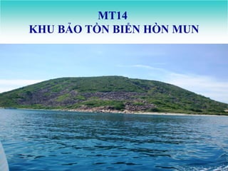MT14
KHU BẢO TỒN BIỂN HÕN MUN
 