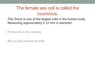 The female sex cell is called the
                 ovum/ova.
• The Ovum is one of the largest cells in the human body.
 Measuring appoximately 0.12 mm in diameter.

• Produced in the ovaries.


• All ova are present at birth.
 
