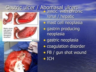 Gastric ulcer / Abomasal ulcer:
                 • assoc. with chronic
                    renal / hepatic
                  • mast cell neoplasia
                  • gastrin producing
                    neoplasia
                  • gastric neoplasia
                  • coagulation disorder
                  • FB / gun shot wound
                  • ICH
 