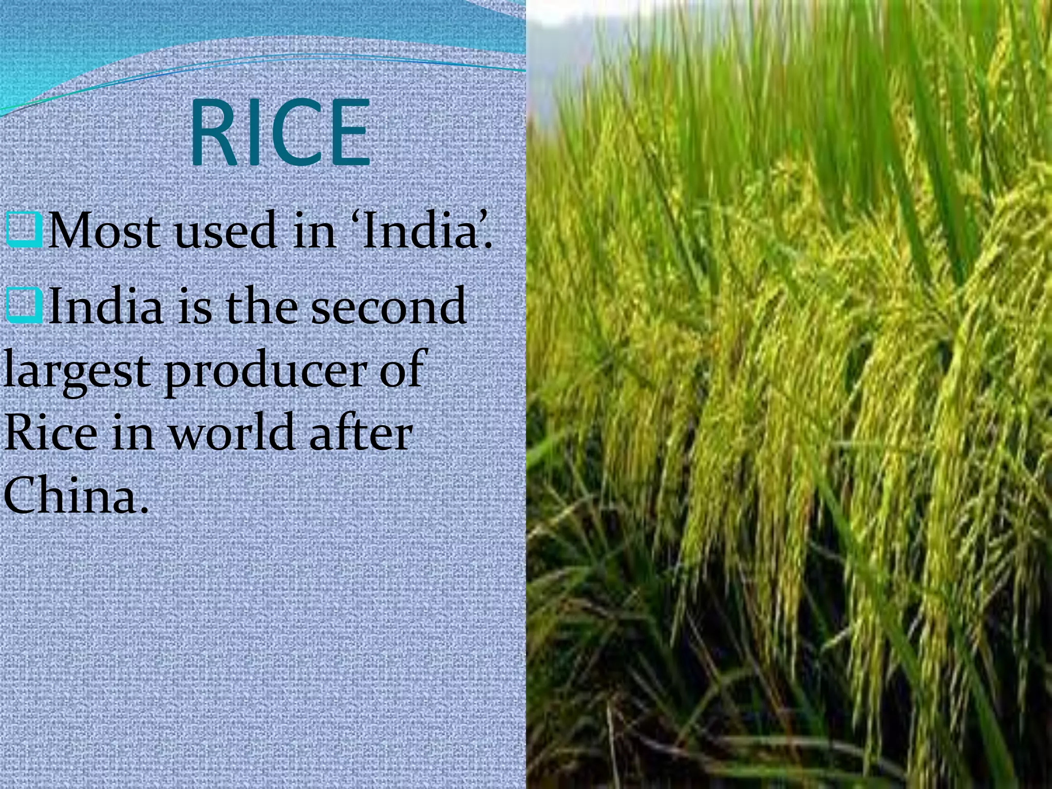 RICE
Most used in ‘India’.
India is the second
largest producer of
Rice in world after
China.