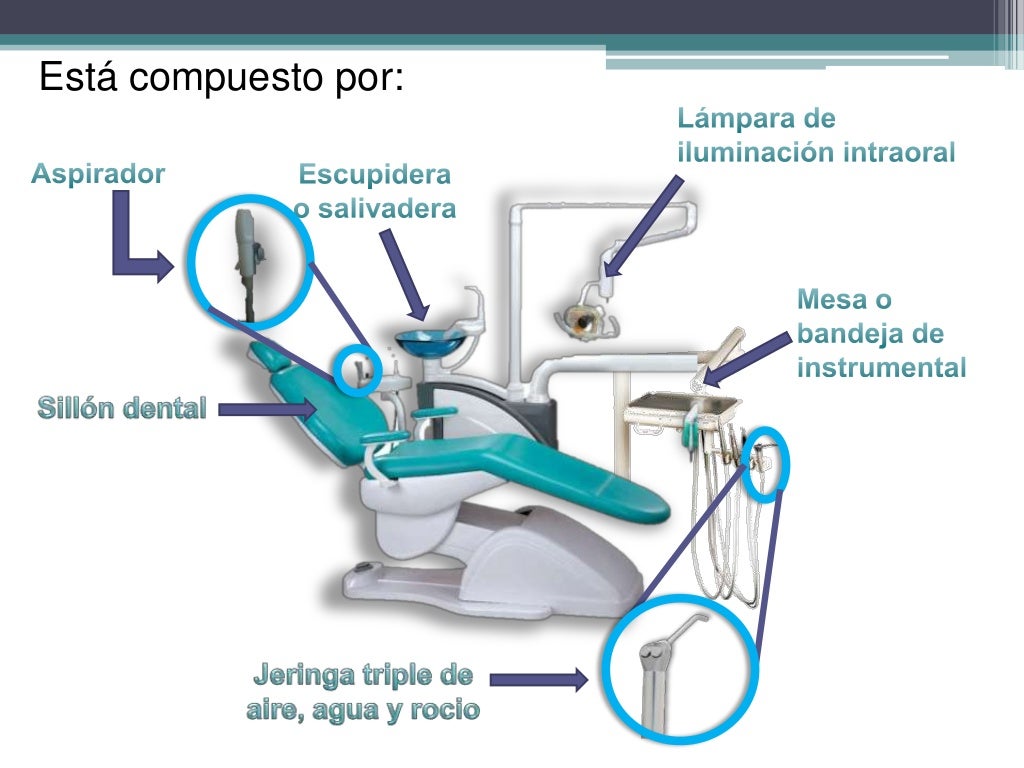 conocimiento de la unidad dental
