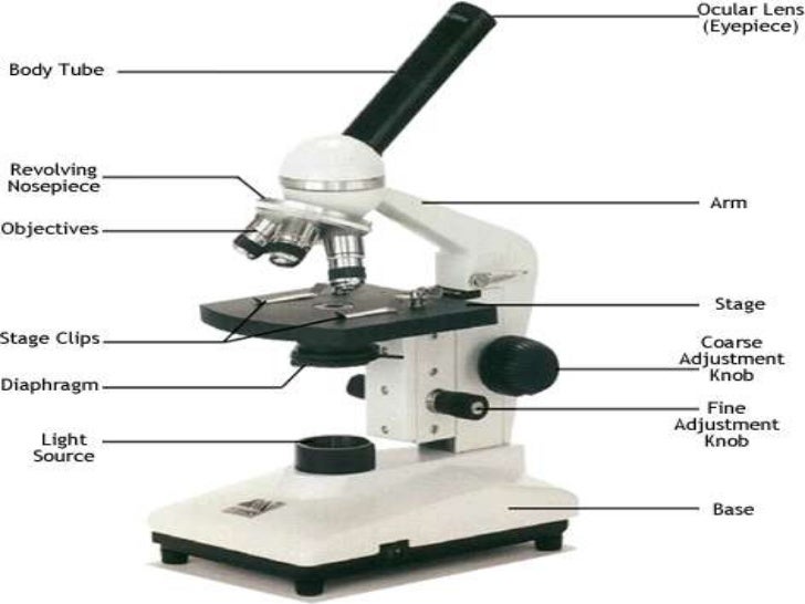 parts of microscope